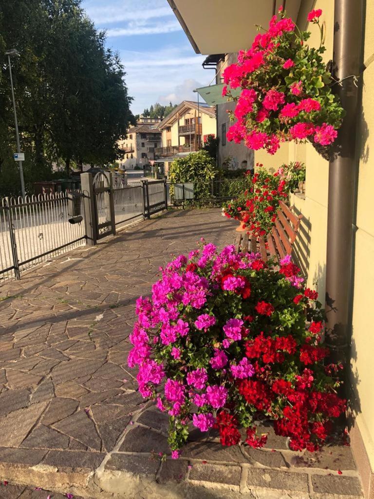 Appartamento Luminoso, Giardino, Vista Dolomiti. บาเซลกา ดิ ปีเน ภายนอก รูปภาพ